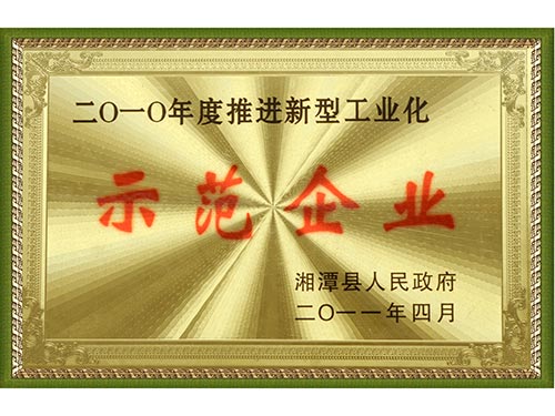 2010示范企业